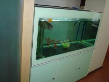 湖北魚缸生產廠家排名前十，湖北魚缸廠家排名前十：湖北魚缸廠家排名前十名