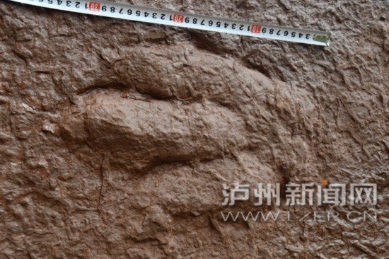 雷龍村是否真實存在？
