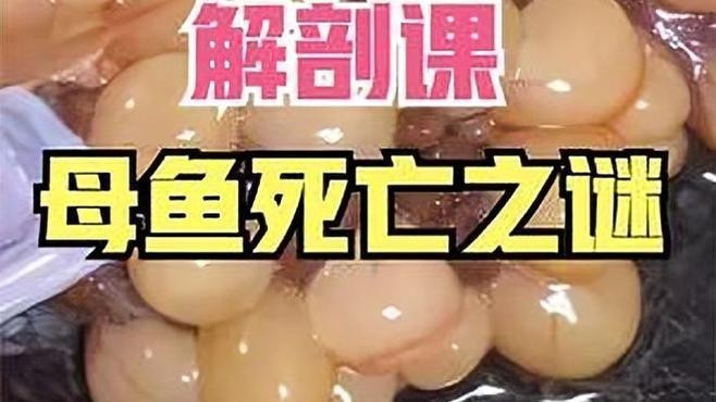 龍魚死亡后如何檢查死因？