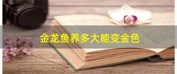 蕭縣王蕭飛翔水族館
