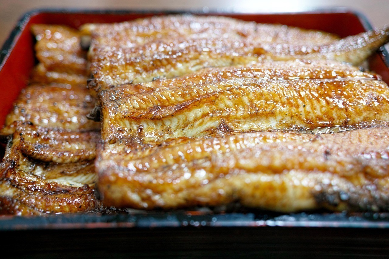 黑頭魚為何盡量少吃