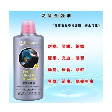 銀龍魚的尾巴爛了怎么辦圖片 銀龍魚的尾巴爛了怎么辦圖片 龍魚百科 第11張