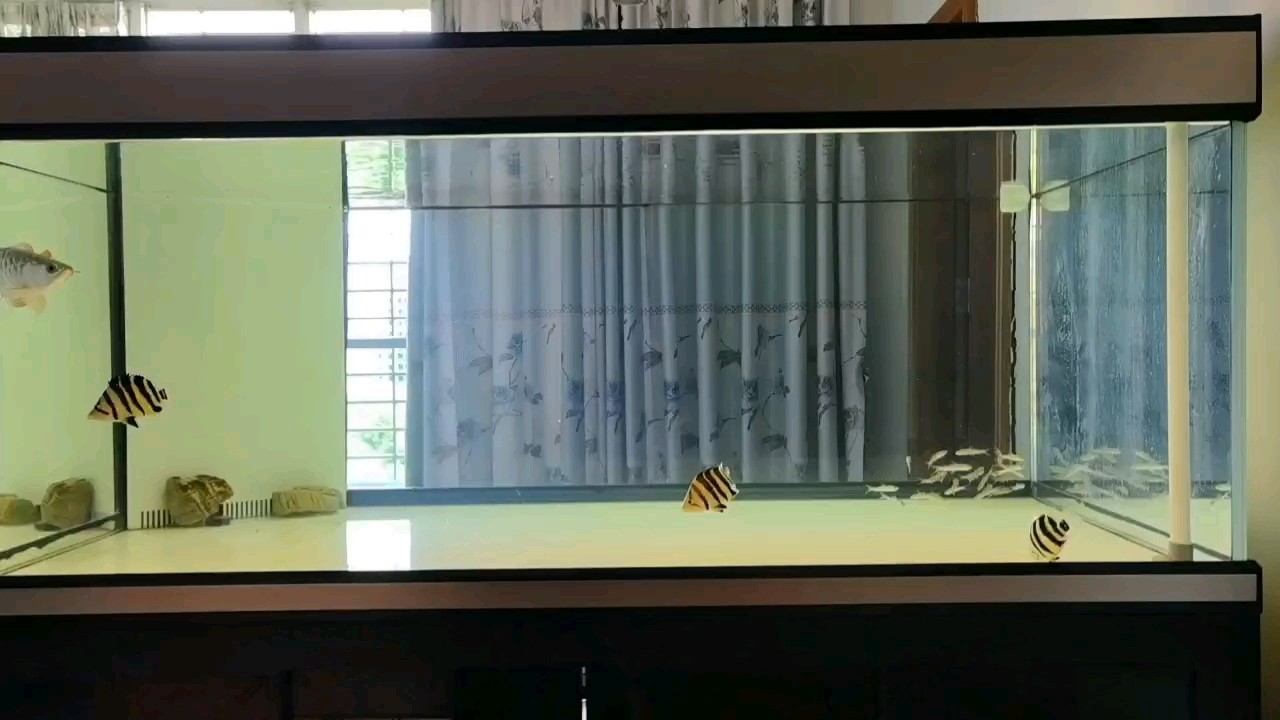無可挑剔