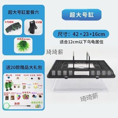 龍魚飼料魚是什么魚（龍魚專用飼料品牌推薦）