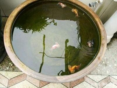 昭陽區水之森水族館（昭陽區水之森水族館電話）
