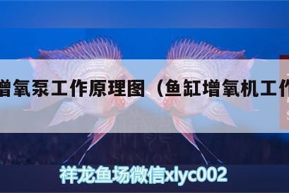姑蘇區月亮水族館（姑蘇區月亮水族館地址）