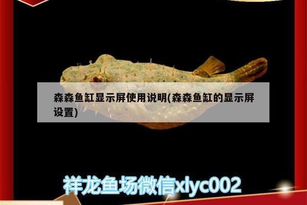 即墨區(qū)龍德錦鯉觀賞魚店