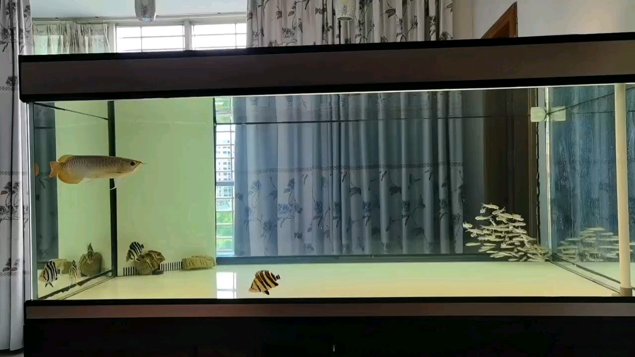 自助餐搞起來