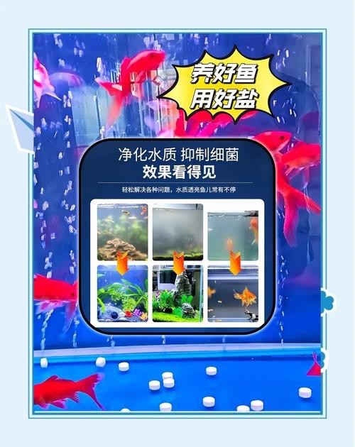 龍魚專用鹽有哪些使用注意事項(xiàng)？