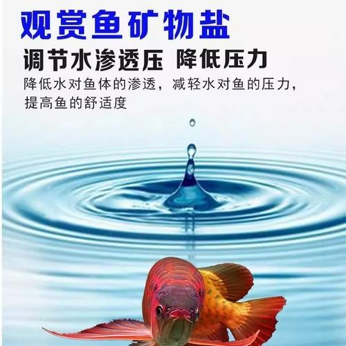 龍魚專用鹽有哪些使用注意事項(xiàng)？