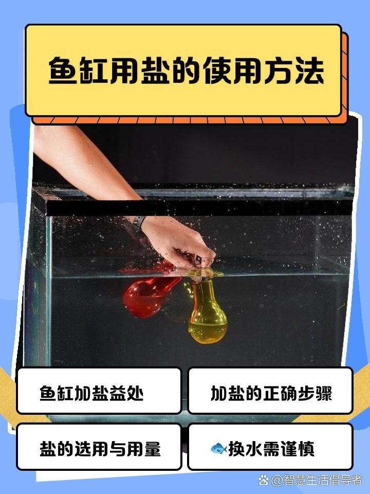 龍魚專用鹽有哪些使用注意事項(xiàng)？