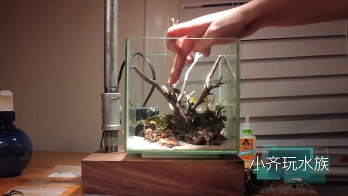 山東軍樂房地產開發有限公司（山東軍樂房地產開發有限公司怎么樣）