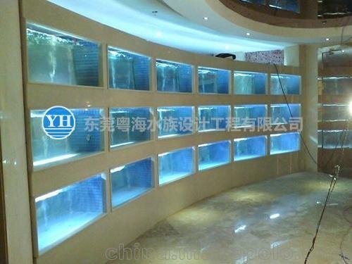 濟南萊蕪市鋼城區多彩水族花卉店