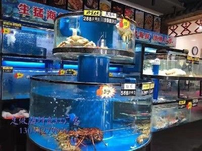 制作海鮮魚缸需要考慮水質調節、裝飾造景等多方面：制作海鮮魚缸的注意事項