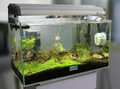 魚缸推薦品牌(德國黑鉆,日本黑鉆,) 魚缸百科 第1張 魚缸推薦品牌(德國黑鉆,日本黑鉆,) 魚缸推薦品牌(德國黑鉆,日本黑鉆,) 魚缸百科 第1張