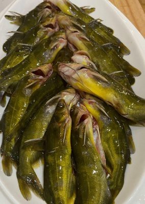 丁魚的功效與作用