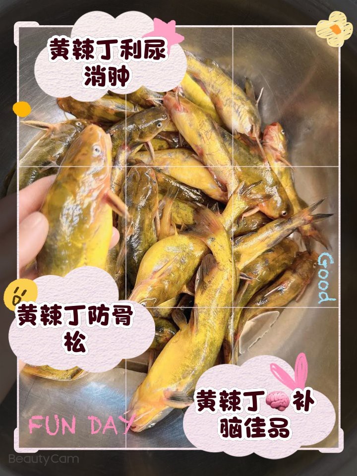 丁魚的功效與作用