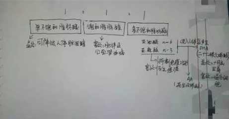 帝王龍魚（帝王龍魚市場(chǎng)價(jià)格趨勢(shì)）