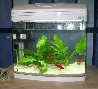 閩江魚缸型號大全20款：閩江魚缸型號大全