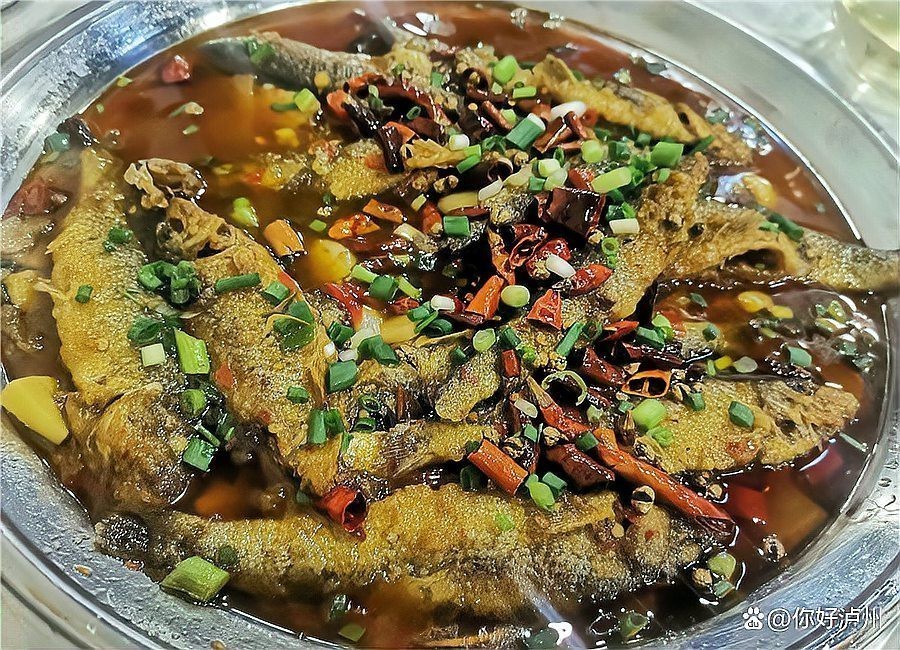 四川土鳳魚圖片 四川土鳳魚圖片 龍魚論壇 第1張