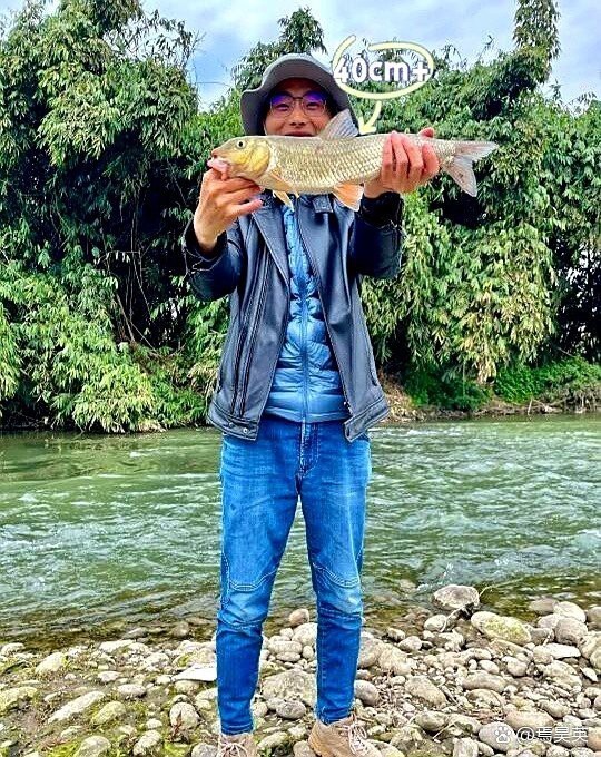 四川土鳳魚圖片 四川土鳳魚圖片 龍魚論壇 第3張