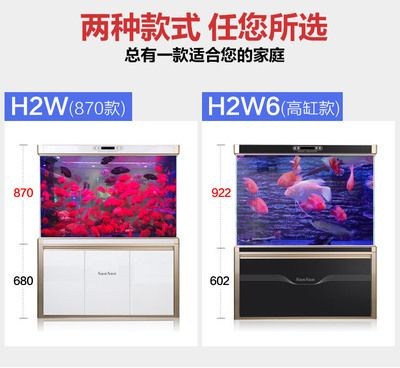 什么魚缸不會爆：亞克力魚缸選購注意事項亞克力魚缸清潔方法