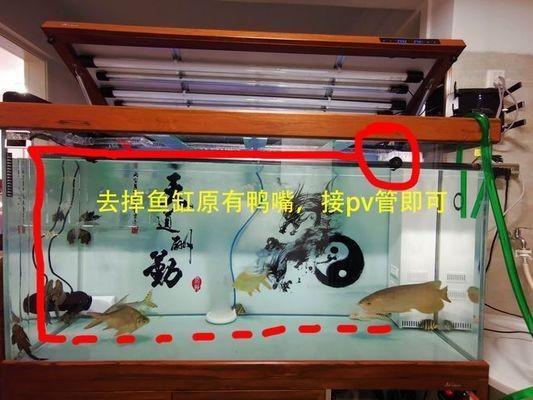 過濾桶魚缸糞便吸不干凈怎么解決方法