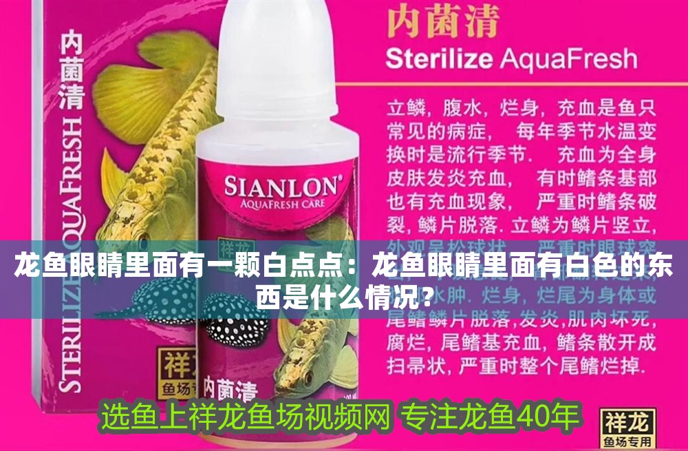龍魚眼睛里面有一顆白點點：龍魚眼睛里面有白色的東西是什么情況？