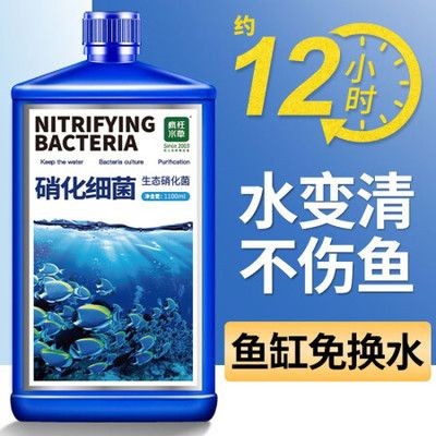 魚缸凈水劑多少錢一瓶 魚缸凈水劑多少錢一瓶 魚缸百科 第3張