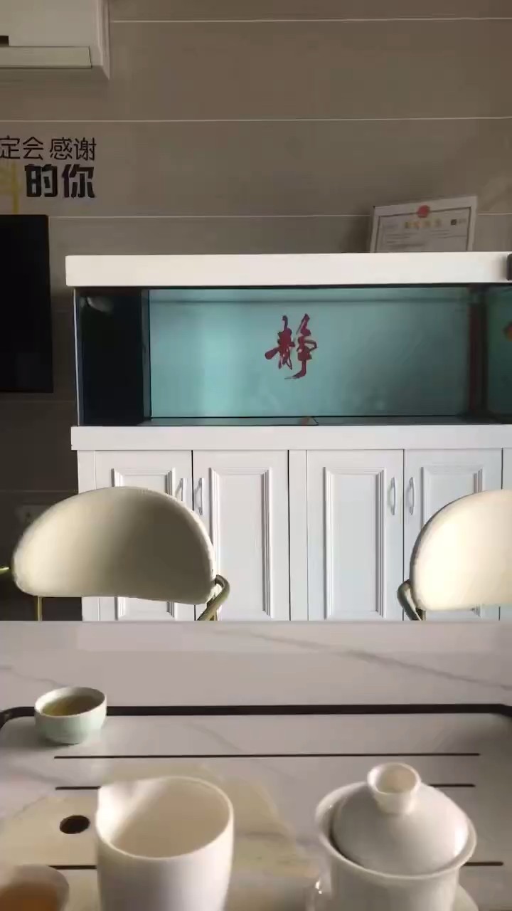 魚缸過濾器選購指南:自制魚缸過濾器魚缸上置過濾器對于養魚愛好者的必備知識 金龍呆滯 龍魚論壇 金龍呆滯 金龍呆滯 龍魚論壇