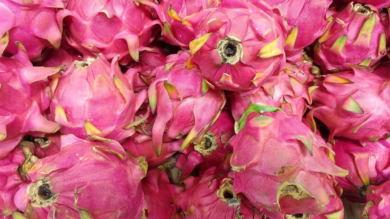 歷城區梓恩花禮鮮花店（歷城區梓恩花禮鮮花店地址） 歷城區梓恩花禮鮮花店（歷城區梓恩花禮鮮花店地址） 全國水族館企業名錄 第1張