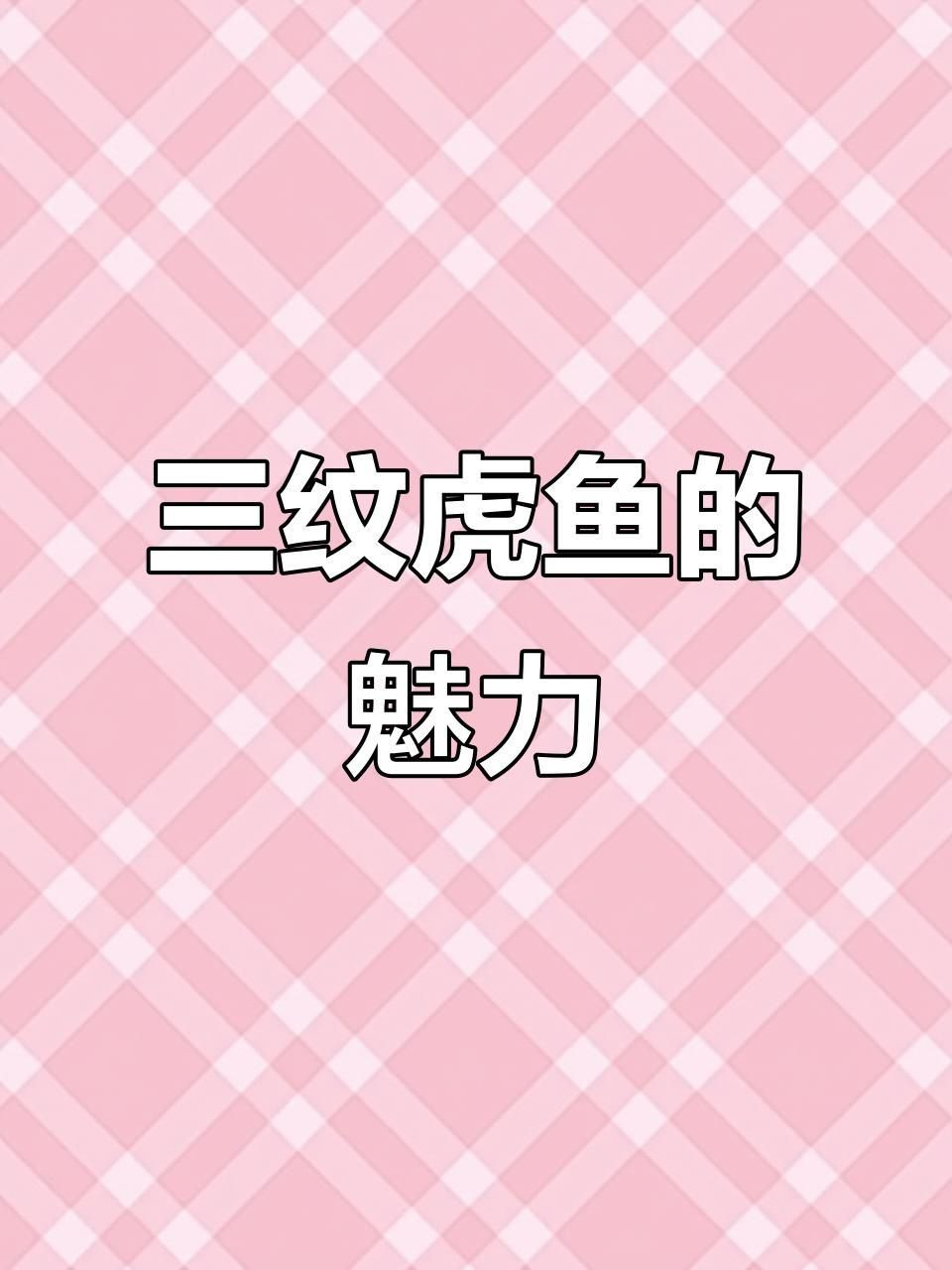 虎魚三紋最建議買的三個顏色