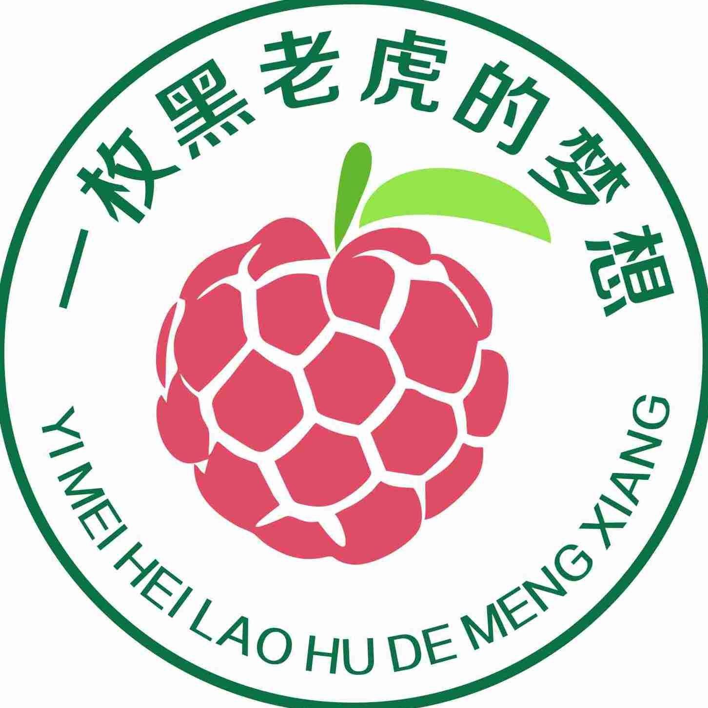 虎苗5元一只貴不貴