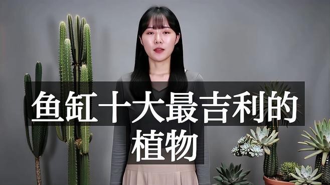 龍魚缸周圍可以放哪些植物？ 龍魚缸周圍可以放哪些植物？ 龍魚論壇 第2張