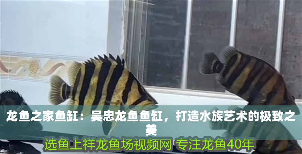 龍魚之家魚缸：吳忠龍魚魚缸，打造水族藝術的極致之美