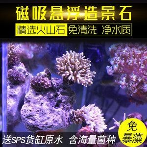 魚缸珊瑚造景過程視頻大全：魚缸珊瑚造景視頻大全視頻大全涵蓋了魚缸珊瑚造景的全過程