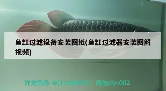 魚缸過濾器安裝圖解視頻