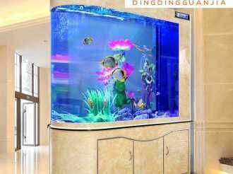 魚缸清洗的誤區與正確做法：底濾魚缸清洗的誤區與正確做法