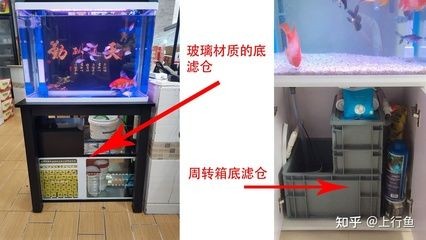 魚缸清洗的誤區與正確做法：底濾魚缸清洗的誤區與正確做法