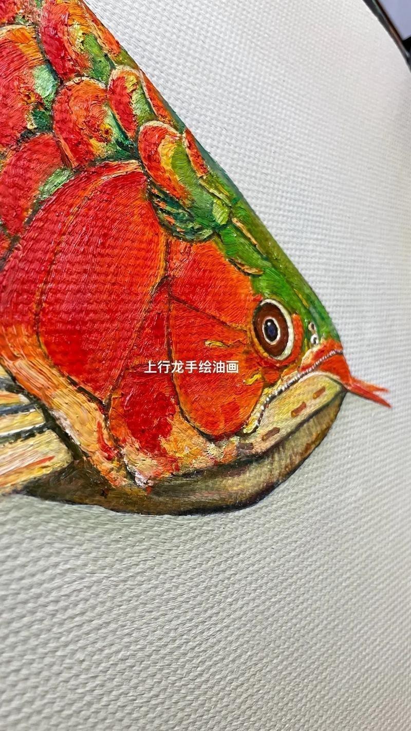 能推薦一些高清的紅龍魚壁紙嗎？