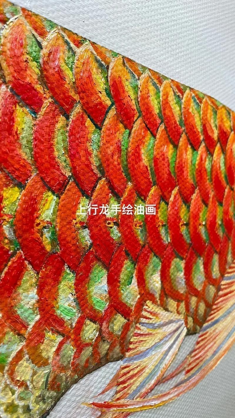 能推薦一些高清的紅龍魚壁紙嗎？