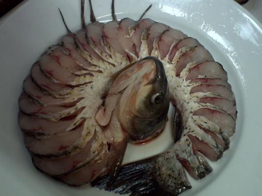 盤龍魚圖片大全欣賞