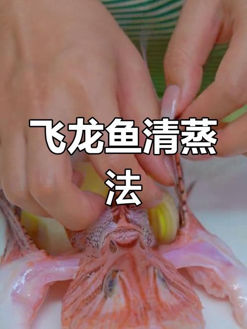 盤龍魚圖片大全欣賞