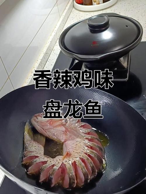 盤龍魚圖片大全欣賞