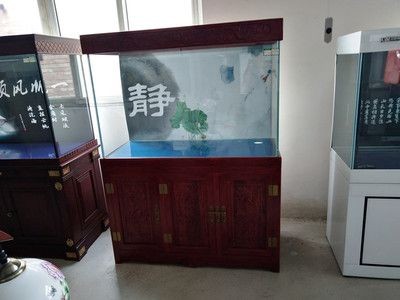 嘉定魚缸定制（上海嘉定魚缸定制）