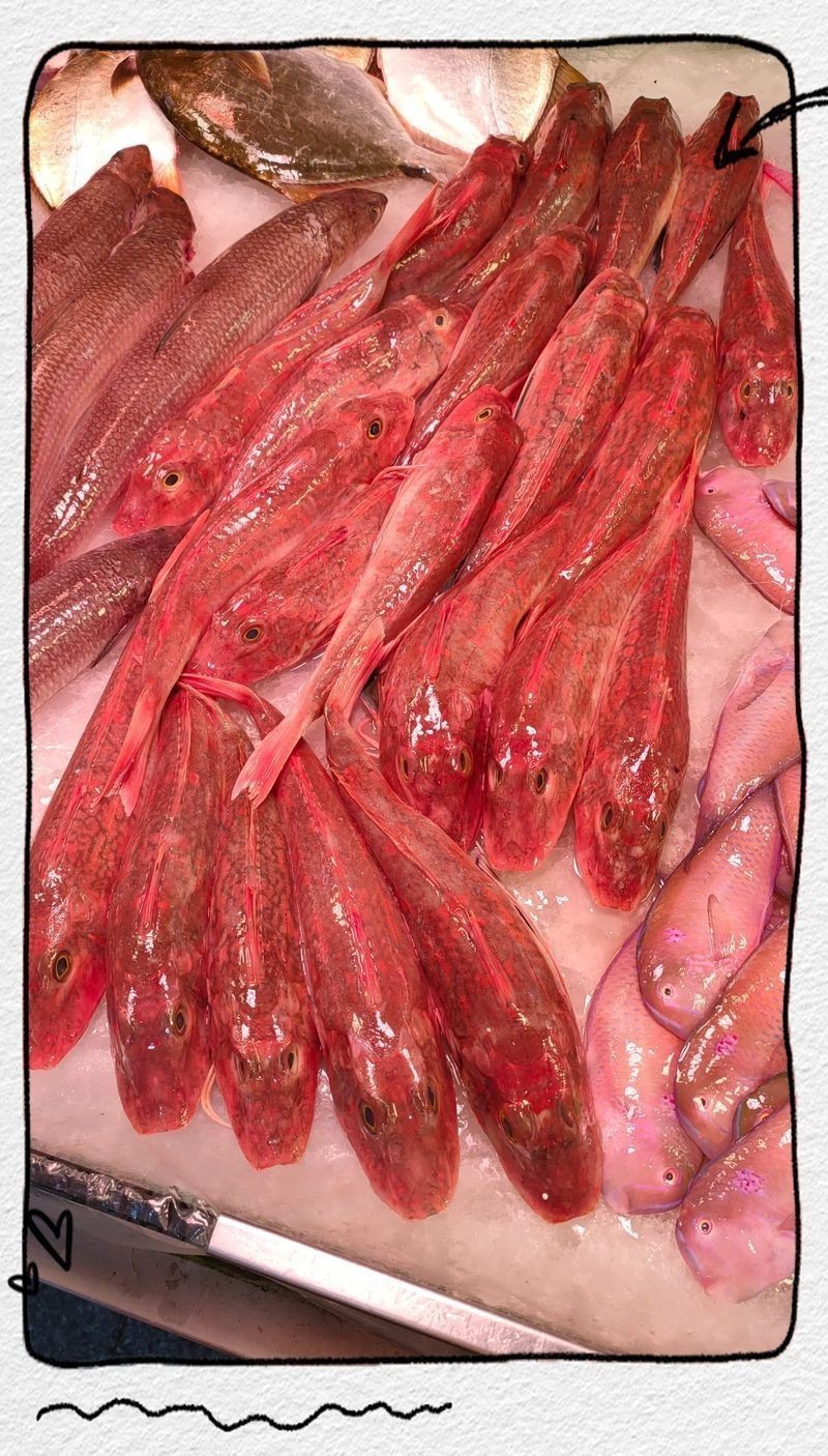 紅頭的魚叫什么