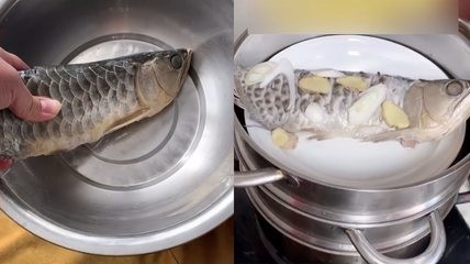 中山市神灣鎮金灣水族館（中山市神灣鎮金灣水族館電話）