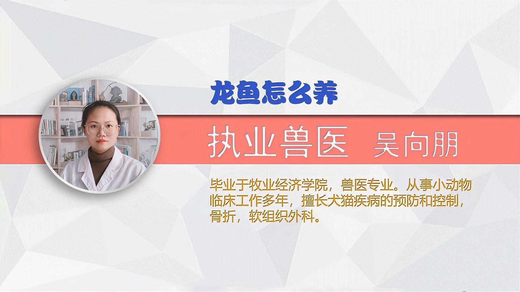 紅龍魚換水后多久可以喂食？