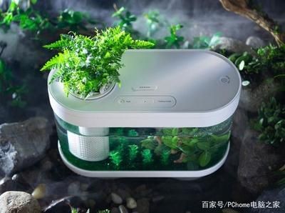 小米畫法幾何魚缸app下載：畫法幾何魚缸app下載