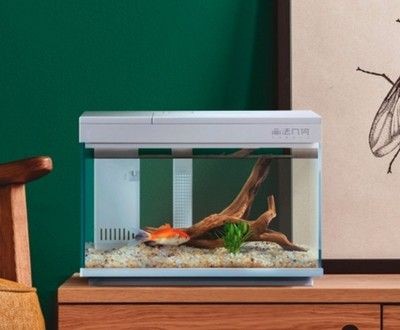 小米畫法幾何魚缸app下載：畫法幾何魚缸app下載